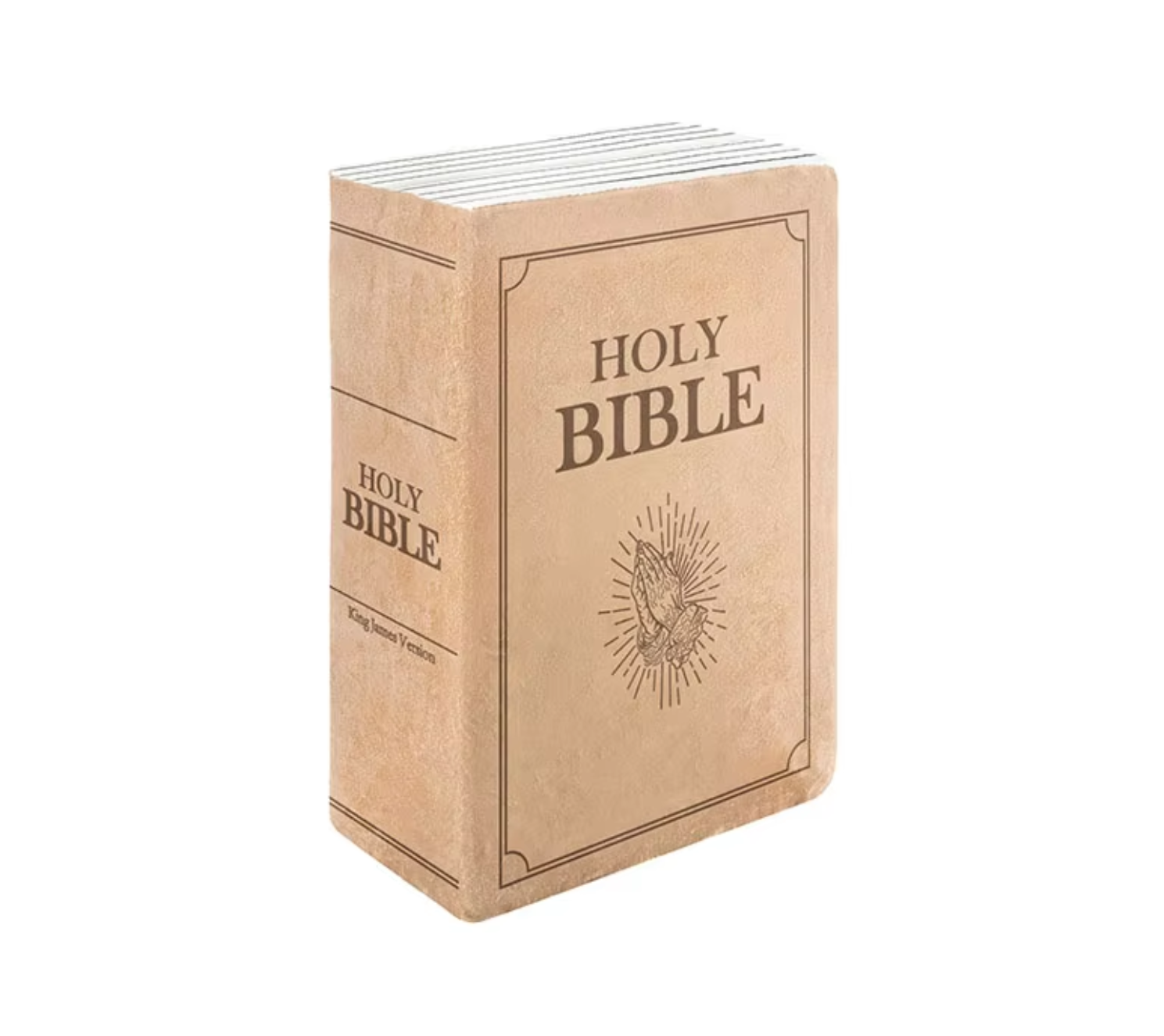 Bible Plush Pillow